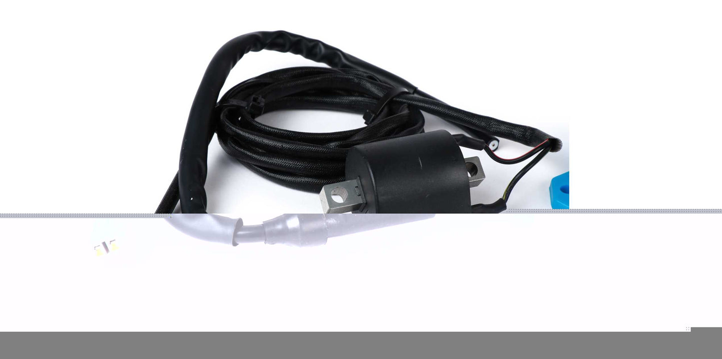 Tuning Kit with ECU/CDI BGM | Vespa Primavera 50cc BGM  Falan Parts